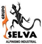 Grupo Selva